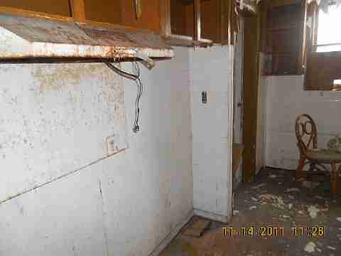 7485 American (11)_m.jpg